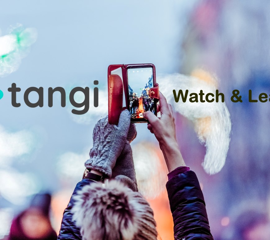 Conheça o Tangi, o novo app do Google que é uma mistura de TikTok e Pinterest