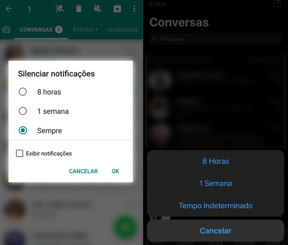 Além da possibilidade de silenciar para sempre pessoas e grupos, o WhatsApp manteve as opções de silenciar por 8 horas e por 1 semana.